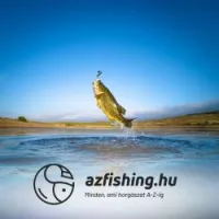 Finomszerelékes horgászat